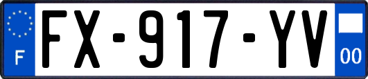 FX-917-YV
