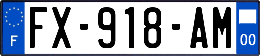 FX-918-AM