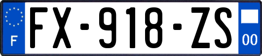 FX-918-ZS