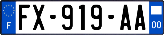 FX-919-AA
