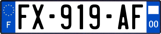 FX-919-AF