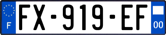 FX-919-EF