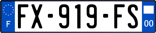 FX-919-FS