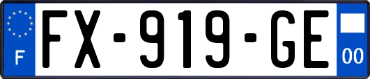 FX-919-GE