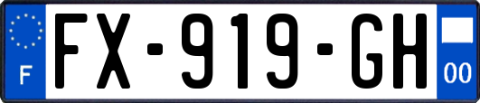 FX-919-GH