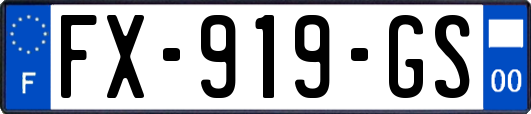 FX-919-GS