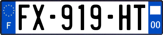 FX-919-HT