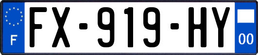 FX-919-HY