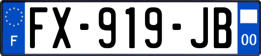 FX-919-JB
