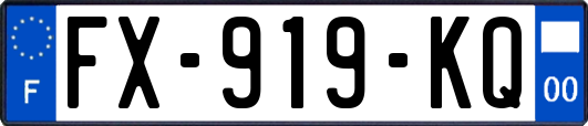 FX-919-KQ