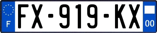 FX-919-KX