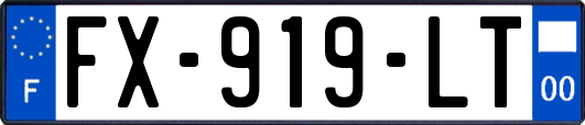 FX-919-LT
