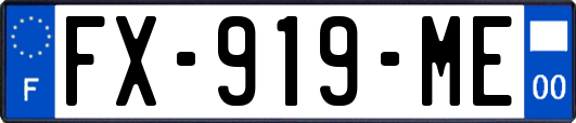 FX-919-ME