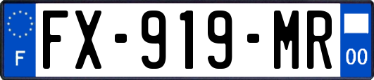 FX-919-MR