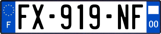 FX-919-NF