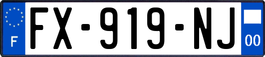 FX-919-NJ