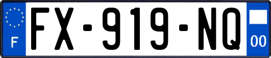 FX-919-NQ