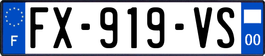 FX-919-VS