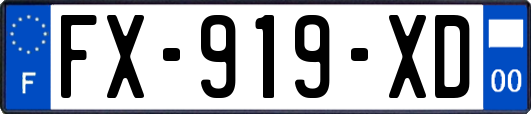 FX-919-XD