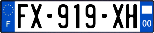 FX-919-XH
