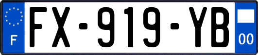 FX-919-YB