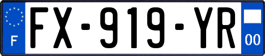 FX-919-YR