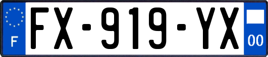 FX-919-YX
