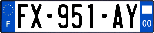 FX-951-AY