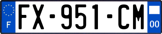 FX-951-CM
