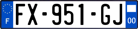 FX-951-GJ