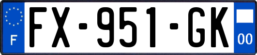 FX-951-GK