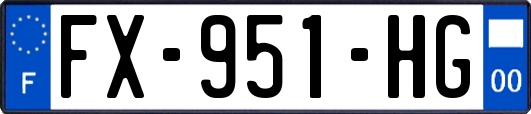 FX-951-HG