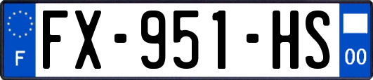 FX-951-HS