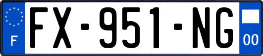 FX-951-NG