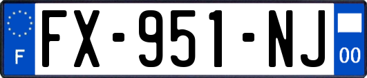 FX-951-NJ