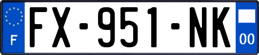 FX-951-NK