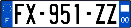 FX-951-ZZ