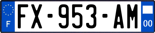 FX-953-AM