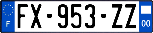 FX-953-ZZ