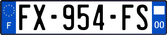 FX-954-FS