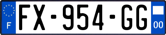 FX-954-GG