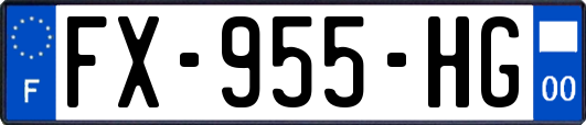FX-955-HG
