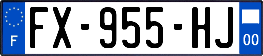 FX-955-HJ
