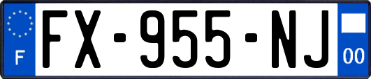 FX-955-NJ