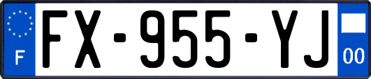 FX-955-YJ