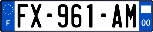 FX-961-AM