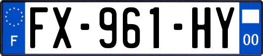 FX-961-HY