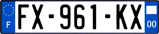 FX-961-KX