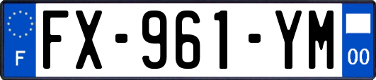 FX-961-YM