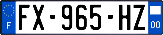 FX-965-HZ